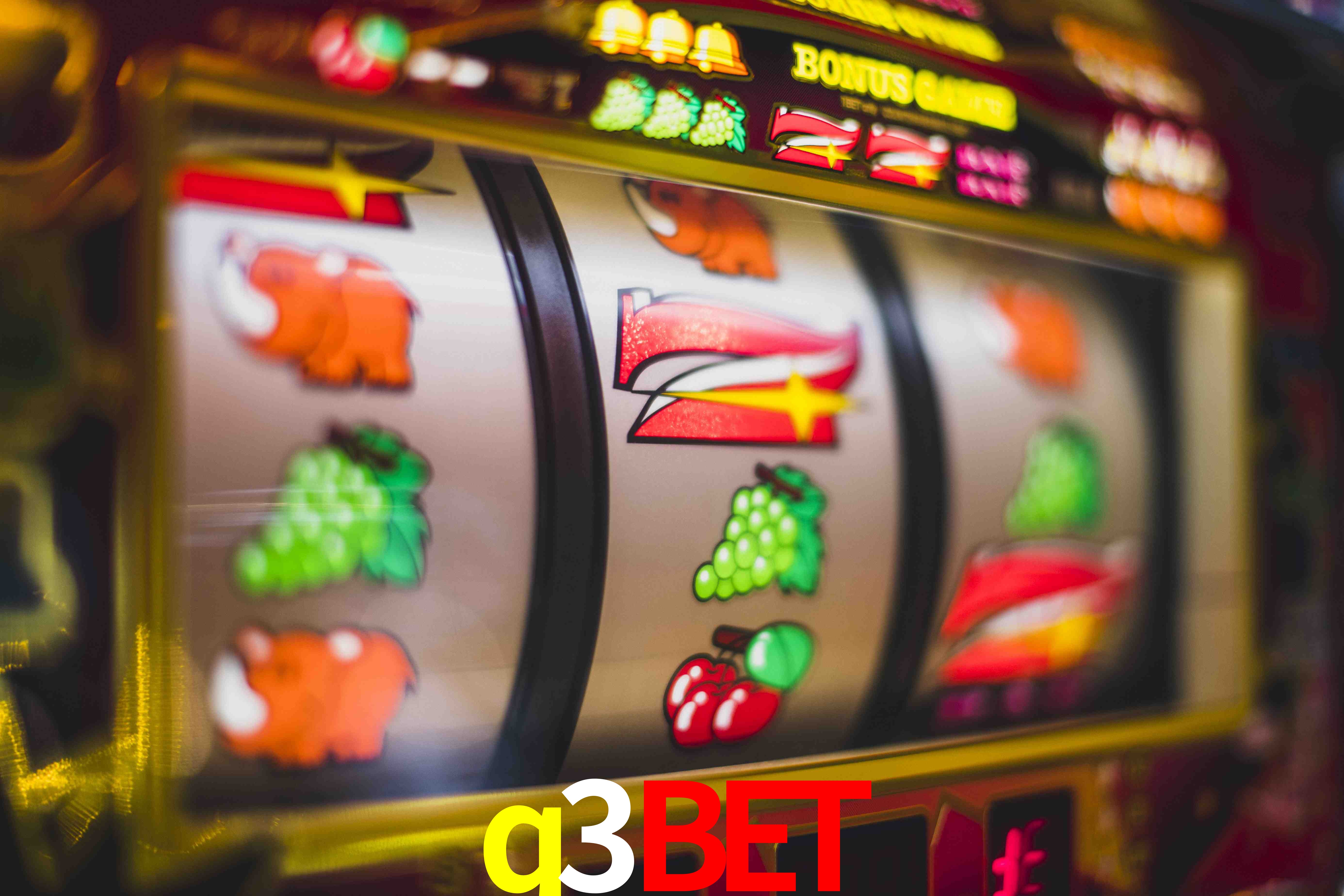 Statistics q3bet
